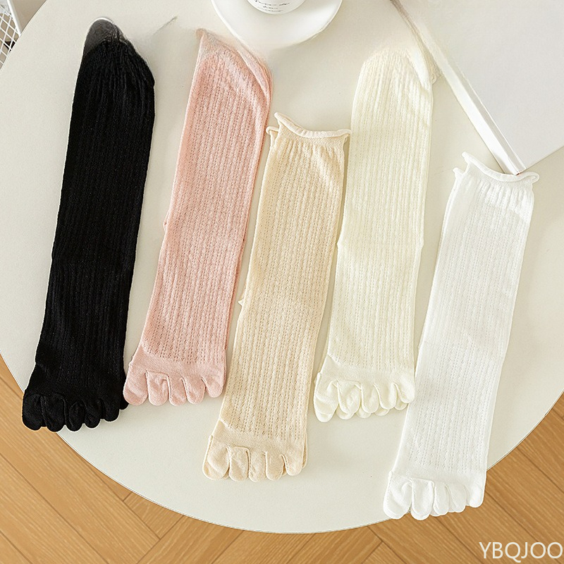 Five finger socks women stacke - مراجعة Pipe Bending Spring وسعره
